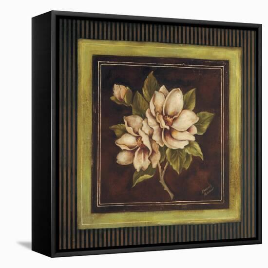 Magnolia I-Kimberly Poloson-Framed Stretched Canvas