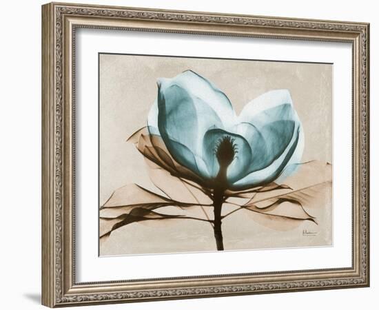 Magnolia I-Albert Koetsier-Framed Art Print