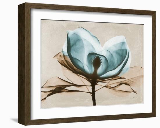 Magnolia I-Albert Koetsier-Framed Art Print