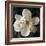 Magnolia I-John Seba-Framed Art Print