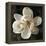 Magnolia I-John Seba-Framed Stretched Canvas