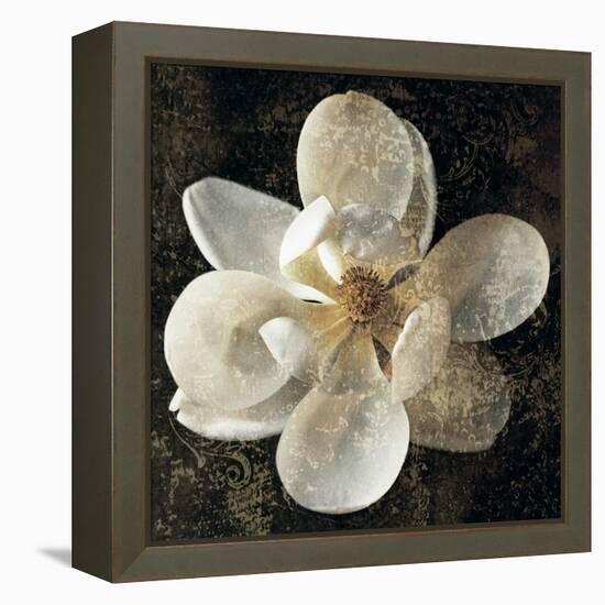 Magnolia I-John Seba-Framed Stretched Canvas