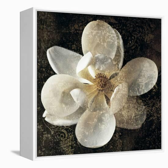 Magnolia I-John Seba-Framed Stretched Canvas