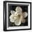 Magnolia I-John Seba-Framed Art Print