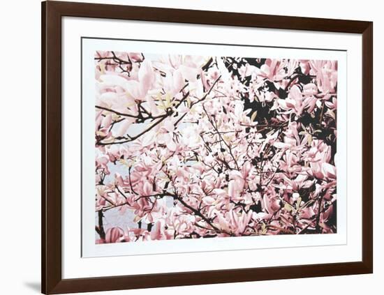 Magnolia II-Jon D'Orazio-Framed Limited Edition