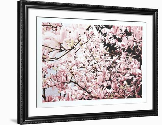 Magnolia II-Jon D'Orazio-Framed Limited Edition