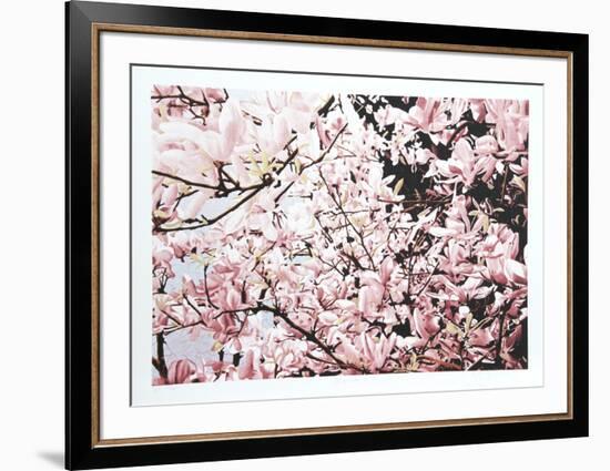 Magnolia II-Jon D'Orazio-Framed Limited Edition