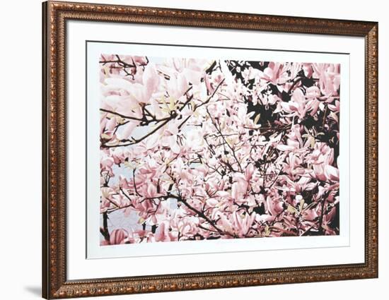 Magnolia II-Jon D'Orazio-Framed Limited Edition