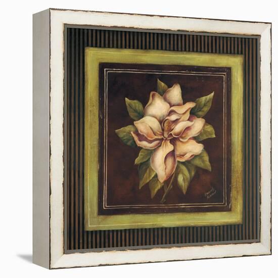 Magnolia II-Kimberly Poloson-Framed Stretched Canvas