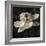 Magnolia II-John Seba-Framed Art Print