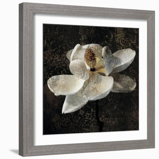 Magnolia II-John Seba-Framed Art Print