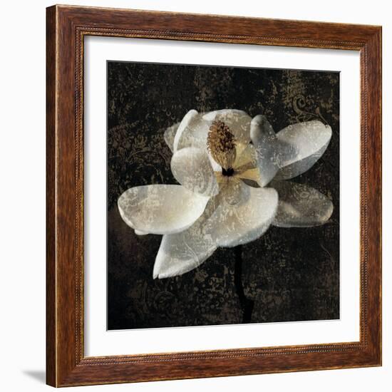 Magnolia II-John Seba-Framed Art Print