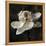 Magnolia II-John Seba-Framed Stretched Canvas