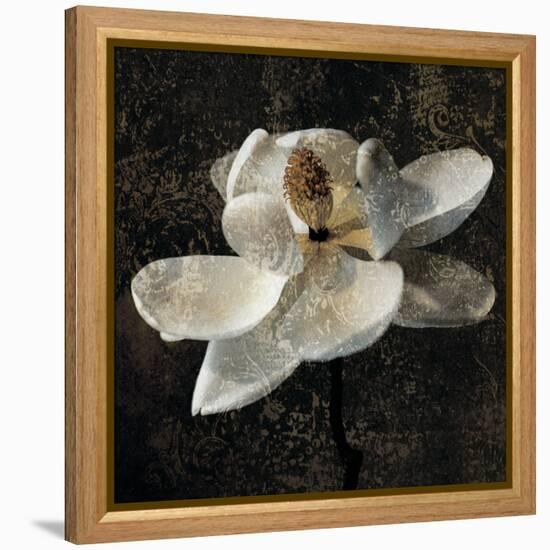 Magnolia II-John Seba-Framed Stretched Canvas