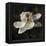 Magnolia II-John Seba-Framed Stretched Canvas