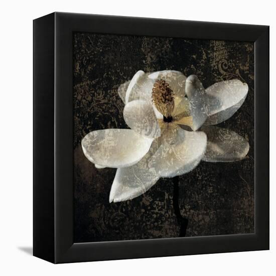 Magnolia II-John Seba-Framed Stretched Canvas