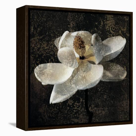 Magnolia II-John Seba-Framed Stretched Canvas