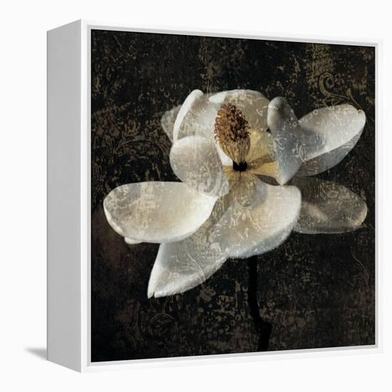 Magnolia II-John Seba-Framed Stretched Canvas