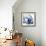 Magnolia Indigo-Albert Koetsier-Framed Premium Giclee Print displayed on a wall