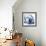 Magnolia Indigo-Albert Koetsier-Framed Premium Giclee Print displayed on a wall