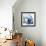 Magnolia Indigo-Albert Koetsier-Framed Premium Giclee Print displayed on a wall