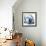 Magnolia Indigo-Albert Koetsier-Framed Premium Giclee Print displayed on a wall