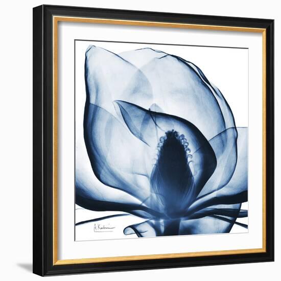 Magnolia Indigo-Albert Koetsier-Framed Premium Giclee Print