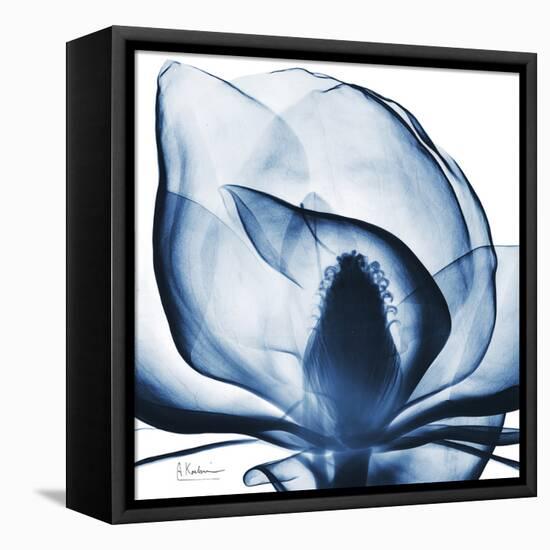 Magnolia Indigo-Albert Koetsier-Framed Stretched Canvas