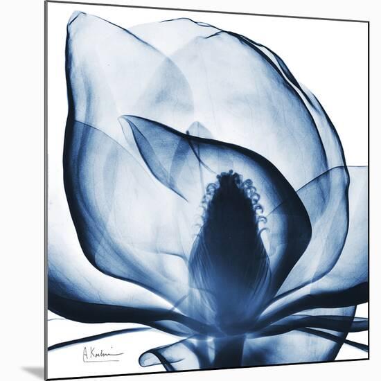 Magnolia Indigo-Albert Koetsier-Mounted Premium Giclee Print