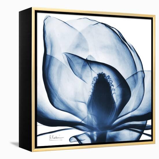 Magnolia Indigo-Albert Koetsier-Framed Stretched Canvas