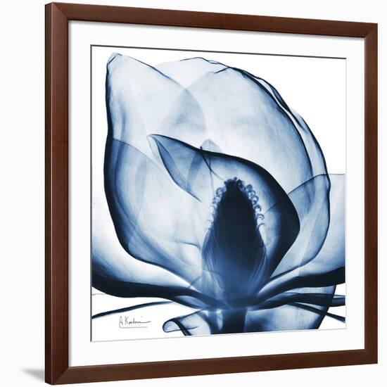 Magnolia Indigo-Albert Koetsier-Framed Art Print