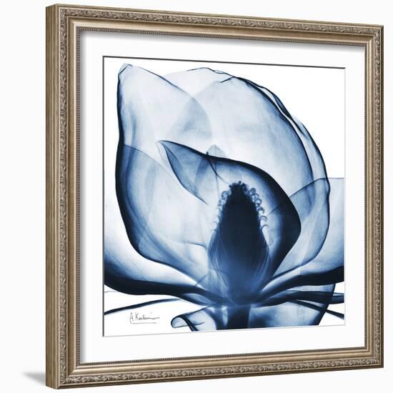 Magnolia Indigo-Albert Koetsier-Framed Art Print