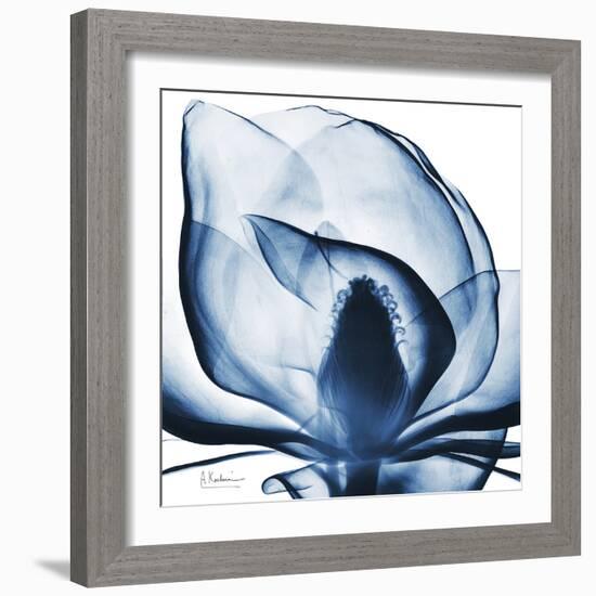 Magnolia Indigo-Albert Koetsier-Framed Art Print