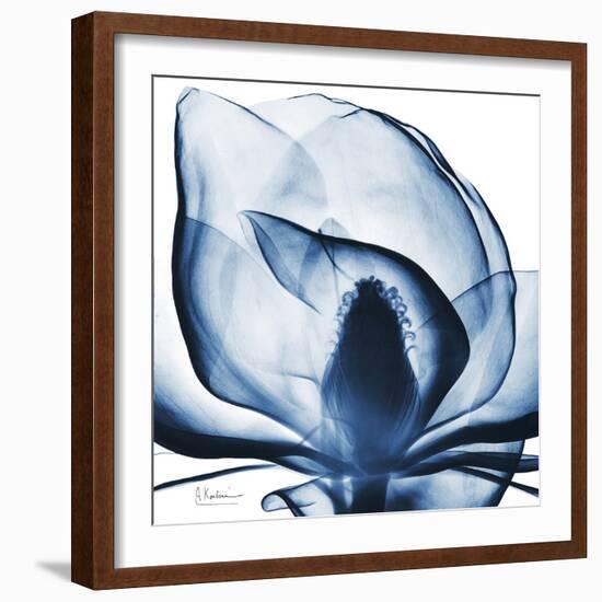 Magnolia Indigo-Albert Koetsier-Framed Art Print