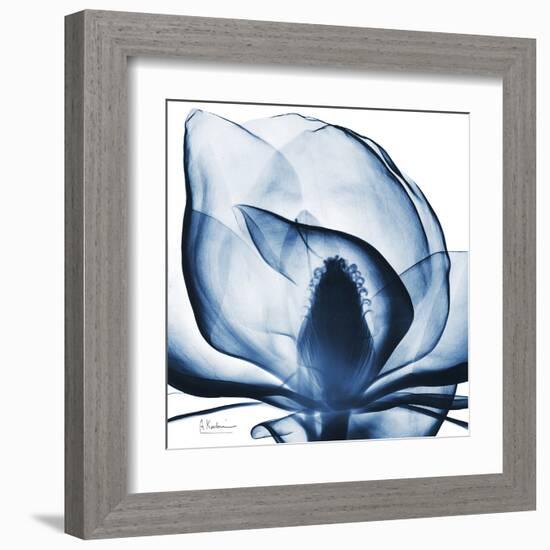 Magnolia Indigo-Albert Koetsier-Framed Art Print