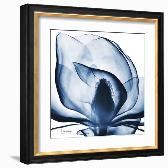 Magnolia Indigo-Albert Koetsier-Framed Art Print