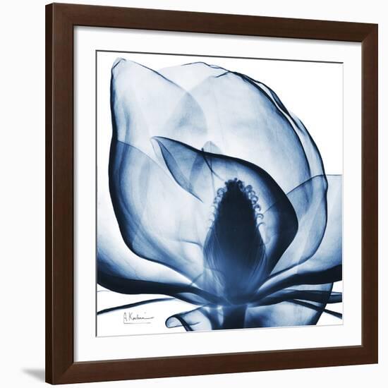Magnolia Indigo-Albert Koetsier-Framed Giclee Print