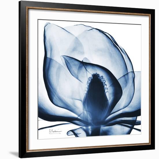 Magnolia Indigo-Albert Koetsier-Framed Giclee Print