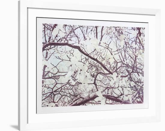 Magnolia IV-Jon D'Orazio-Framed Limited Edition