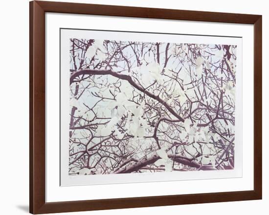 Magnolia IV-Jon D'Orazio-Framed Limited Edition