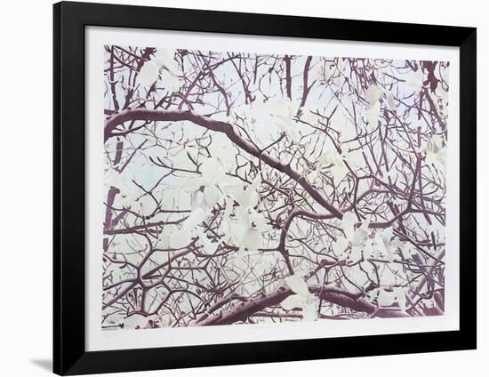 Magnolia IV-Jon D'Orazio-Framed Limited Edition