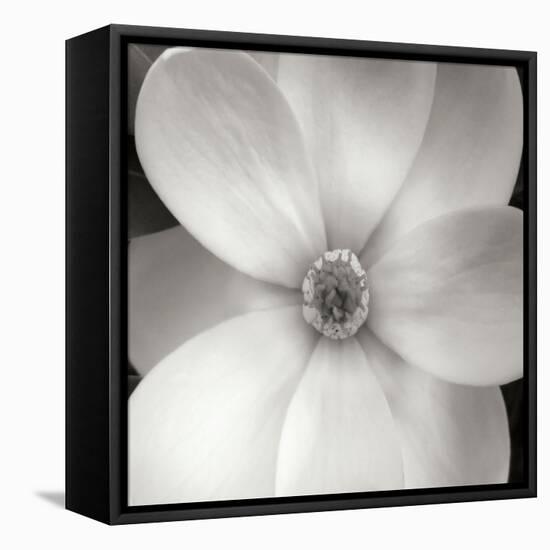 Magnolia IV-Jim Christensen-Framed Premier Image Canvas