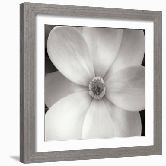 Magnolia IV-Jim Christensen-Framed Photographic Print