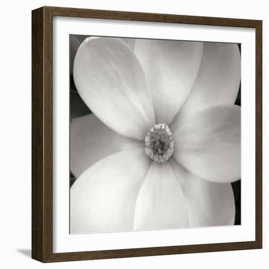 Magnolia IV-Jim Christensen-Framed Photographic Print