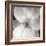 Magnolia IV-Jim Christensen-Framed Photographic Print