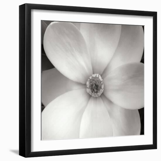 Magnolia IV-Jim Christensen-Framed Photographic Print