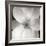 Magnolia IV-Jim Christensen-Framed Photographic Print