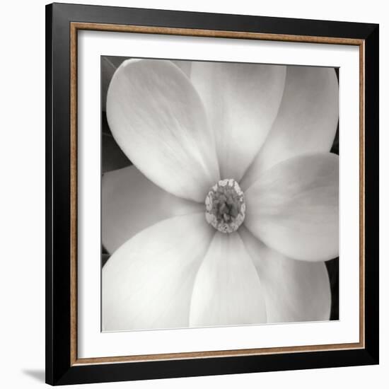 Magnolia IV-Jim Christensen-Framed Photographic Print