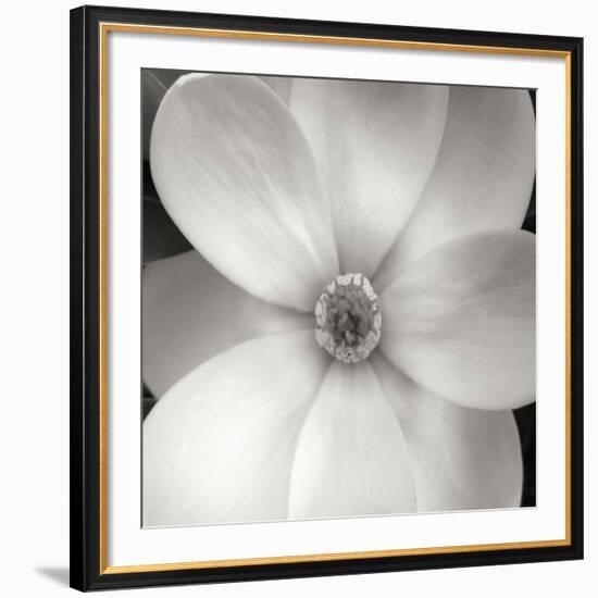 Magnolia IV-Jim Christensen-Framed Photographic Print