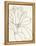 Magnolia Line Drawing v2 Crop-Moira Hershey-Framed Stretched Canvas